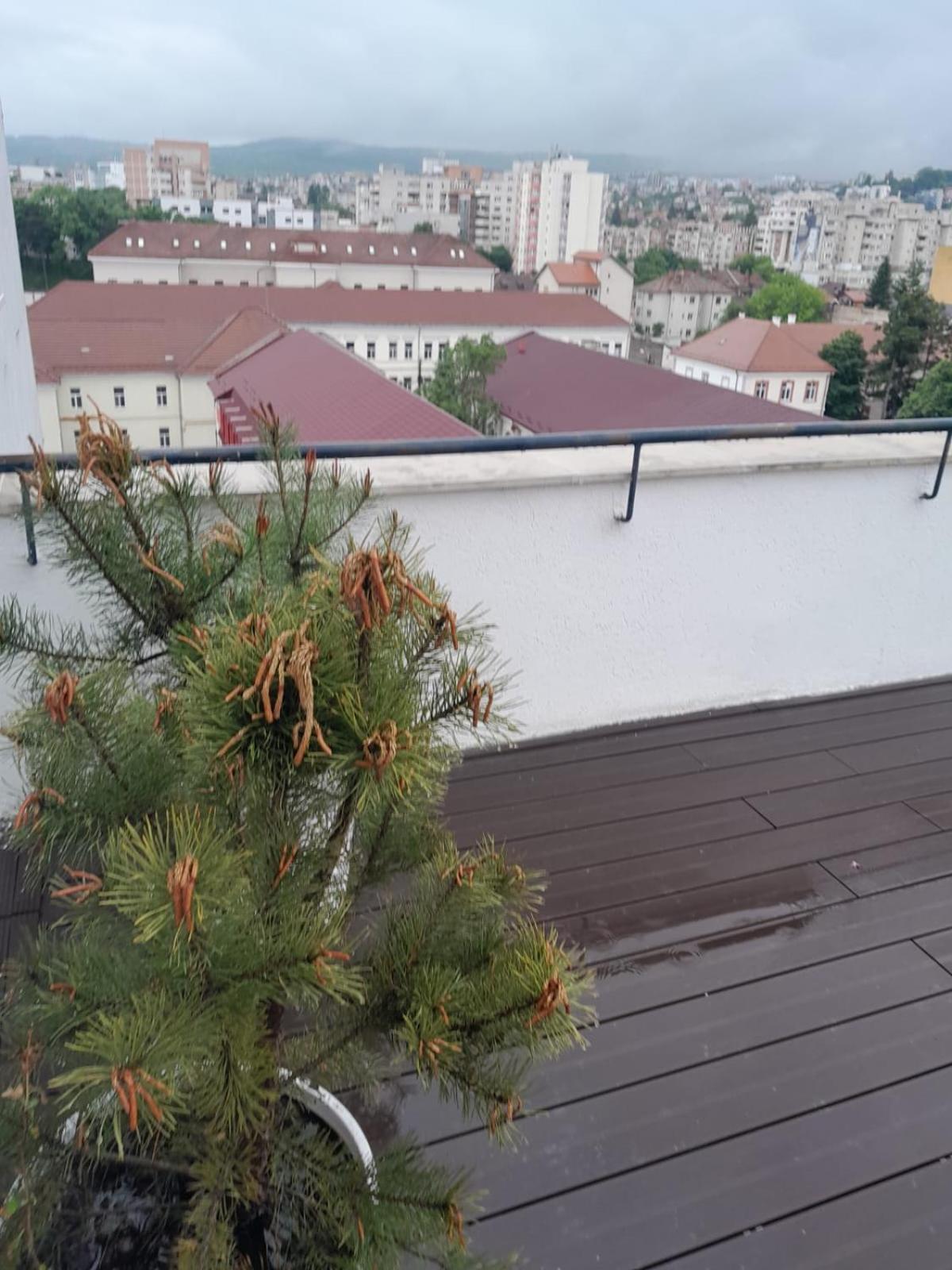 דירות קלוז'-נאפוקה Cristinco Panoramic מראה חיצוני תמונה